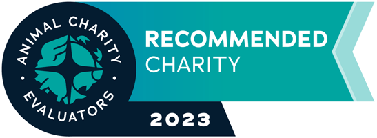 animal charity evaluators recommended charity 2023