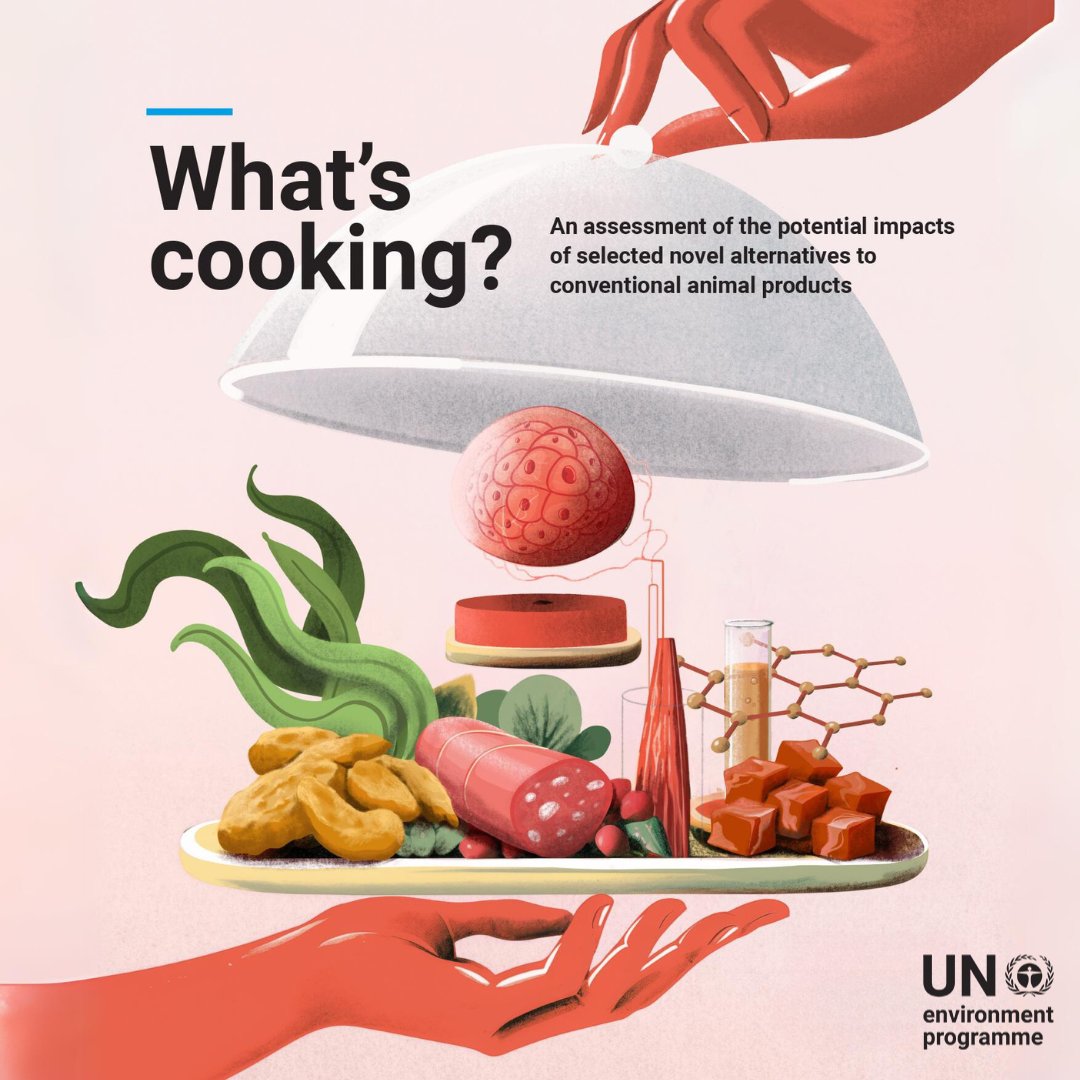 Com23046 unep whats cooking