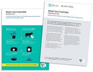 Meat cultivation narrative and graphic