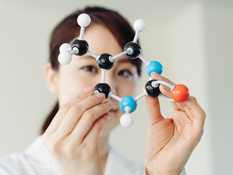 Scholar holding molecular model, representing biomedical science concept