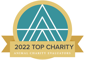 2022 ace top charity badge