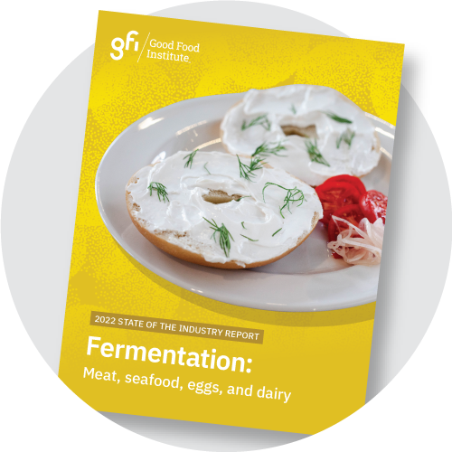 An image of the 2022 state of the industry fermentation report cover