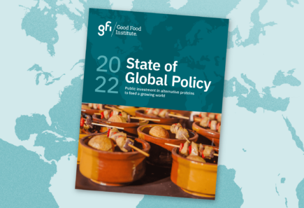 State of global policy report 2022 cover image