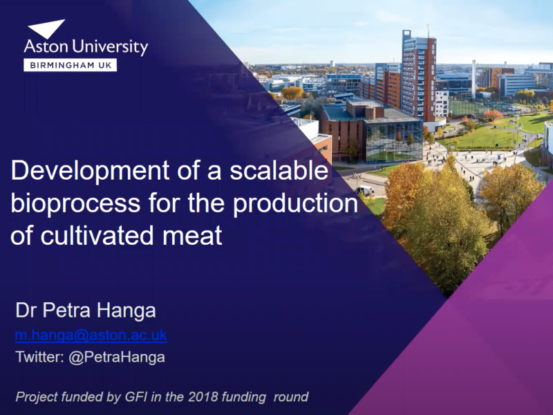 Development of a scalable bioprocess for the production of cultivated meat slide